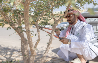 مبادرة بيئية في الحلوة لتعزيز الاستدامة في اليوم العالمي لمكافحة التصحر
